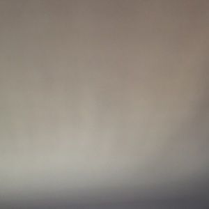 Meet your Posher, Quinn